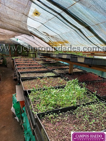 Fondo de comercio “brotes y micro vegetales gastronómicos”