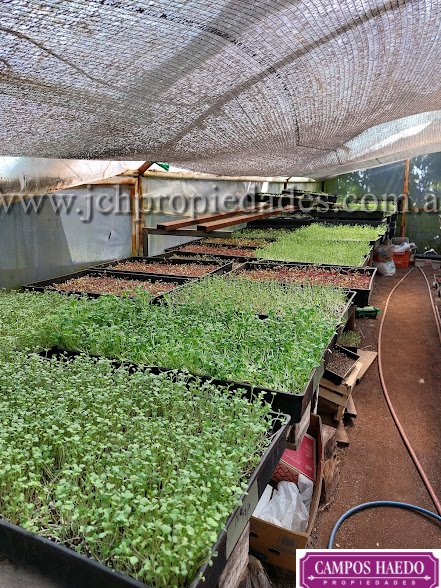 Fondo de comercio “brotes y micro vegetales gastronómicos”