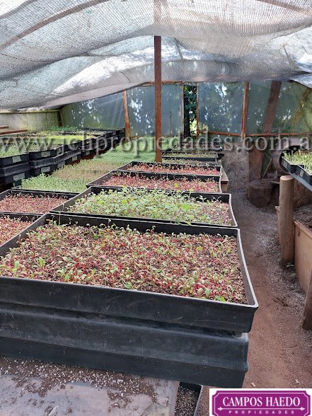 Fondo de comercio “brotes y micro vegetales gastronómicos”