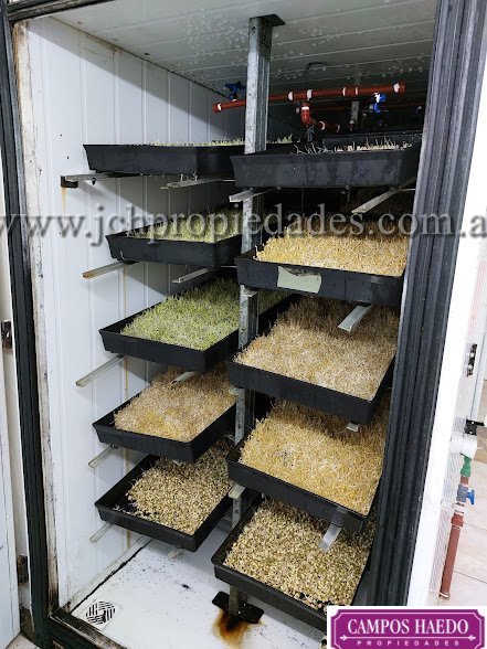 Fondo de comercio “brotes y micro vegetales gastronómicos”