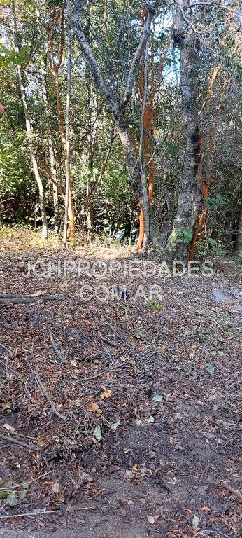 Lote de 947 m2 con vista al lago – villa la angostura