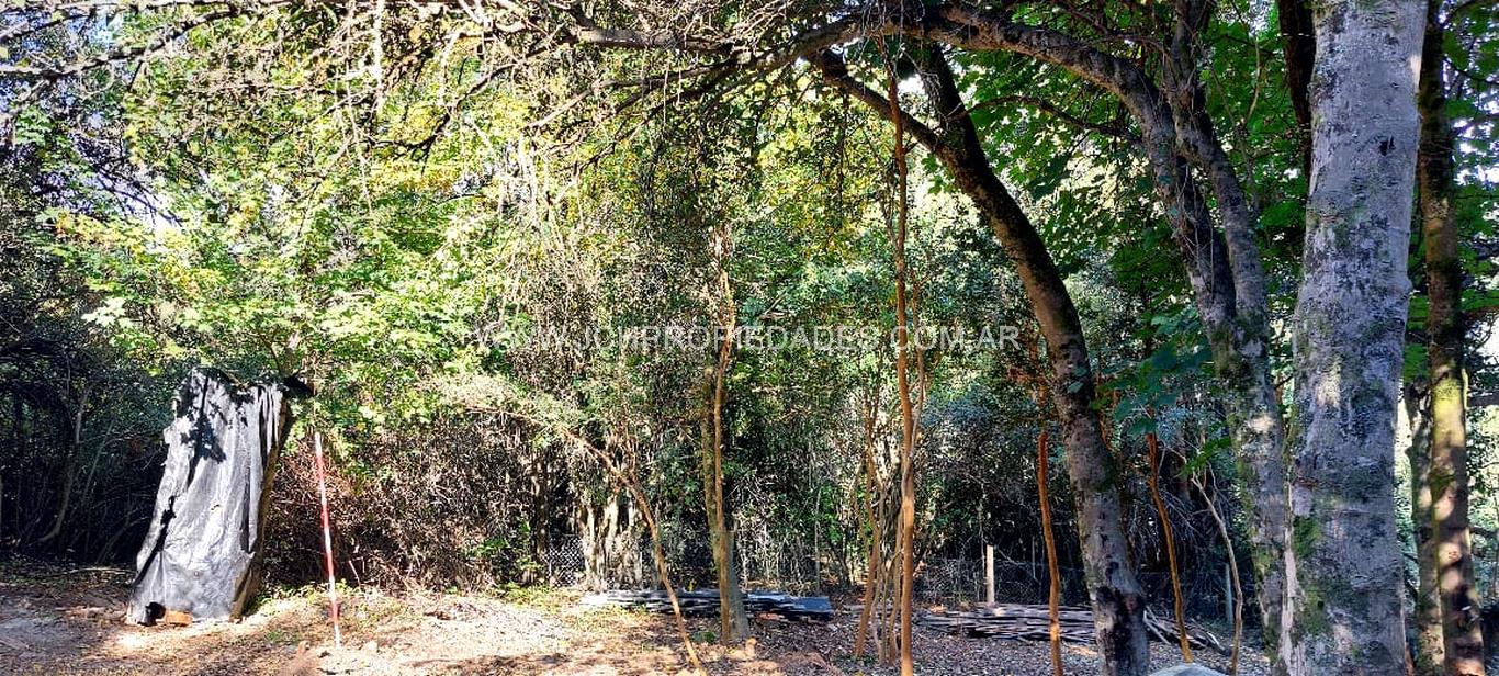 Lote de 947 m2 con vista al lago – villa la angostura