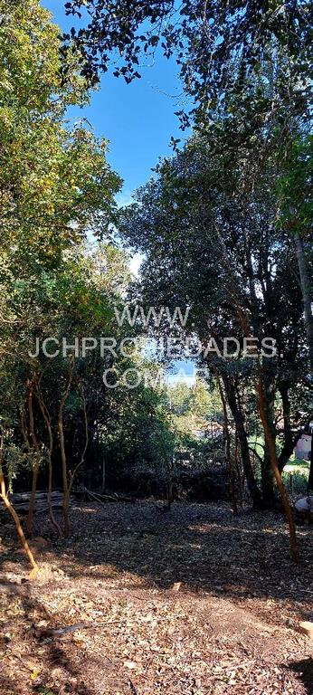 Lote de 947 m2 con vista al lago – villa la angostura
