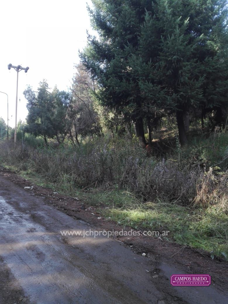 Lotes comerciales en