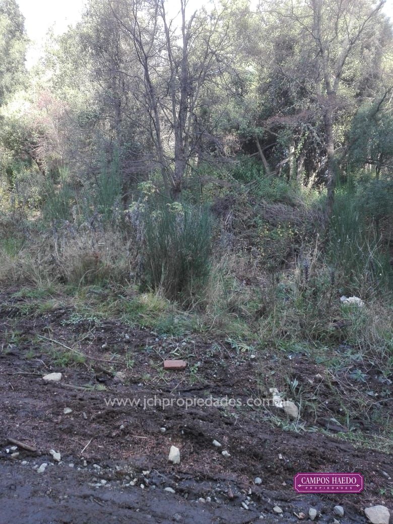 Lotes comerciales en