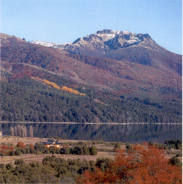 Ol6 lotes en meliquina- parque nacional lanin – neuquén