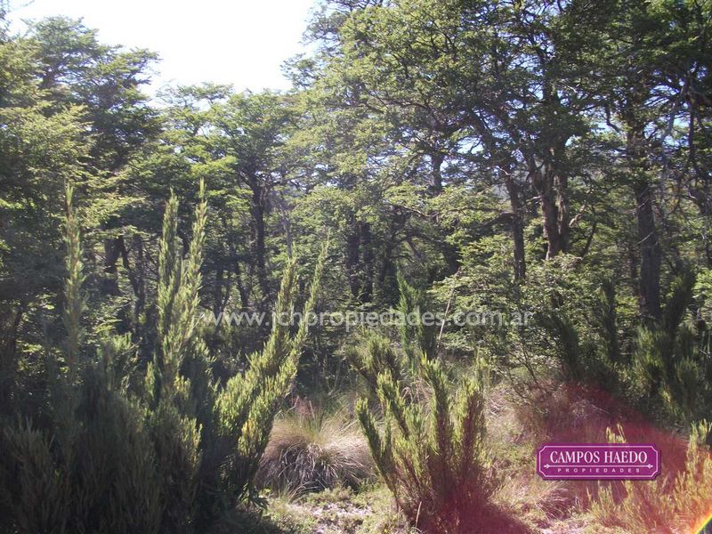 Ol1 terrenos en lago hermoso