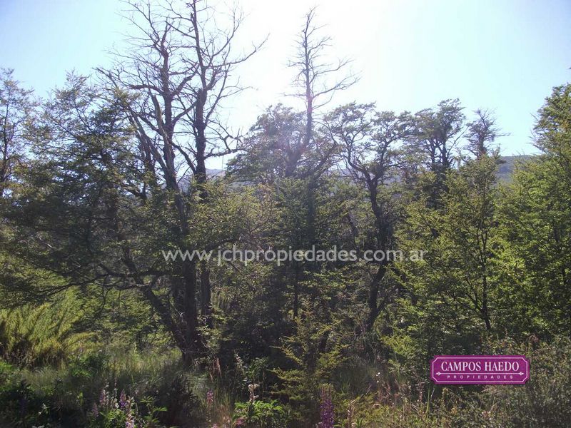 Ol1 terrenos en lago hermoso