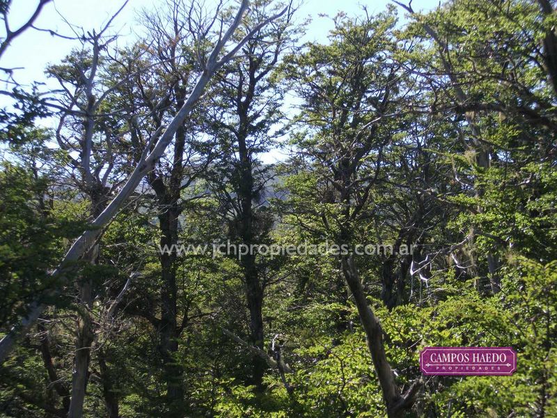 Ol1 terrenos en lago hermoso