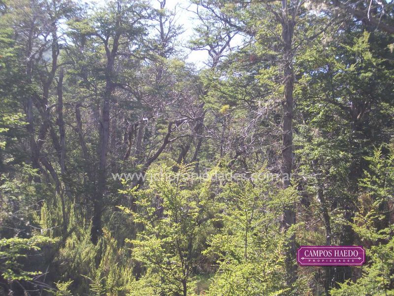 Ol1 terrenos en lago hermoso