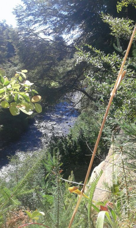 Lote de 4.380 m2 con costa de rio bonito – villa la angostura