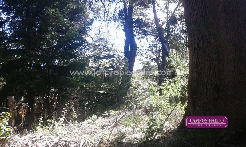 Lote de 4.380 m2 con costa de rio bonito – villa la angostura