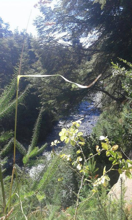 L72 lote con costa de rio bonito