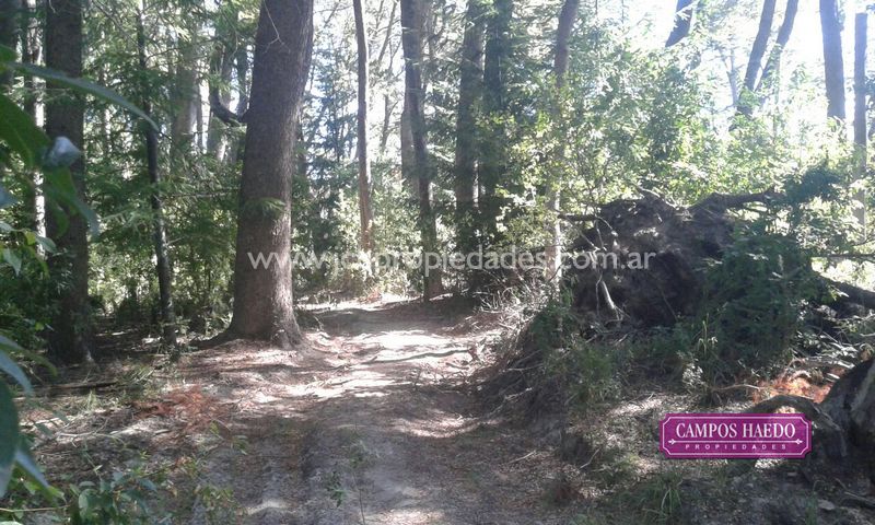 Lote de 4.380 m2 con costa de rio bonito – villa la angostura