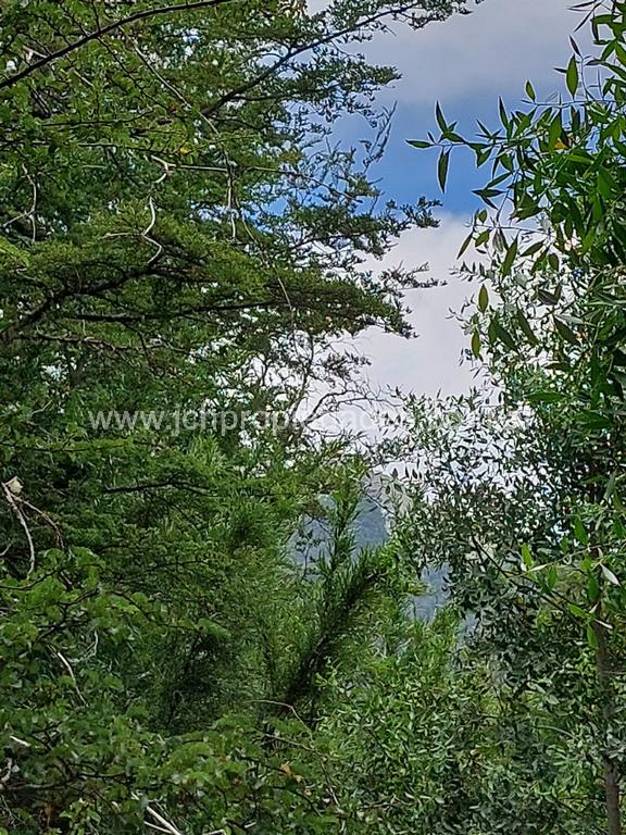 Lote de 787 m2 en calle antares – las balsas – villa la angostura