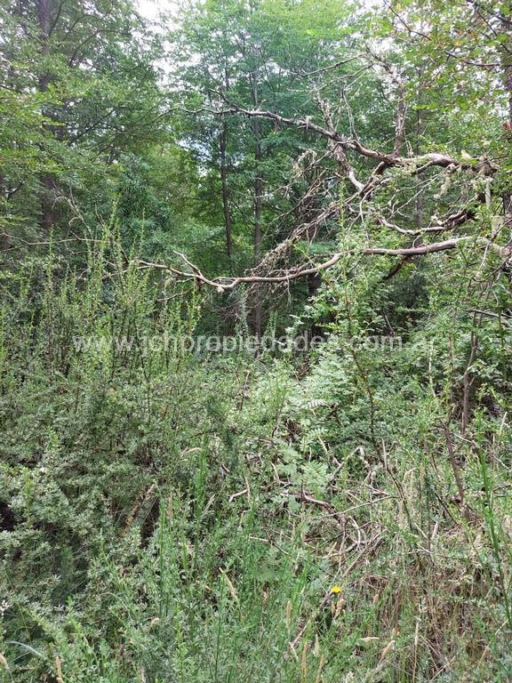 Lote de 787 m2 en calle antares – las balsas – villa la angostura