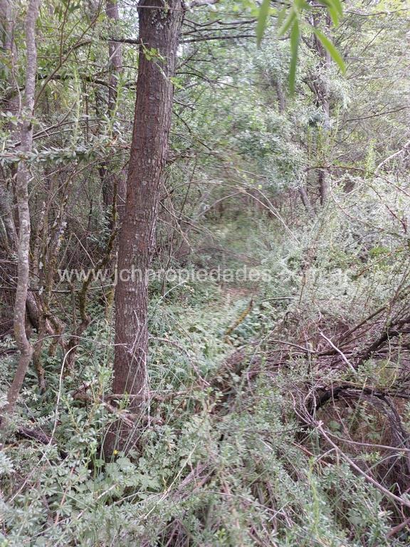 Lote de 787 m2 en calle antares – las balsas – villa la angostura