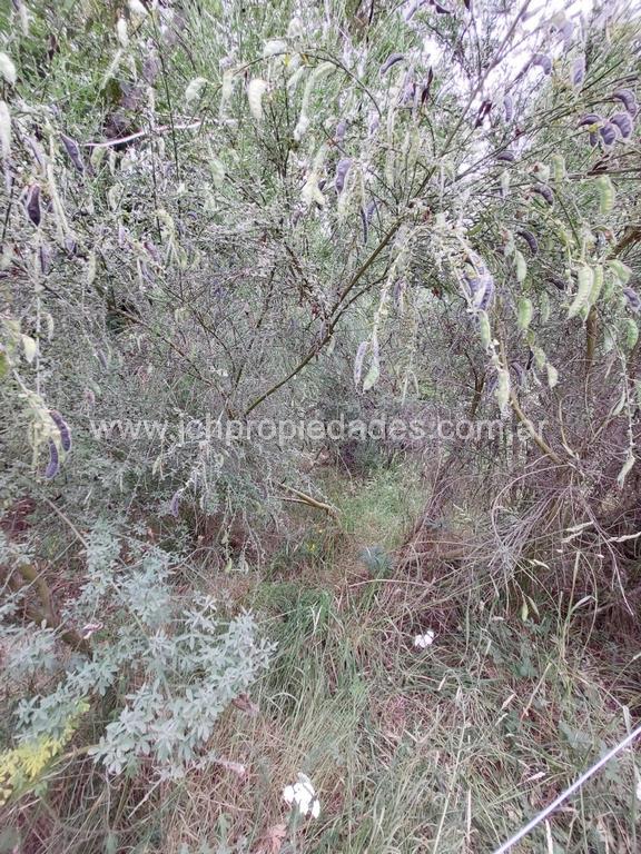 Lote de 787 m2 en calle antares – las balsas – villa la angostura