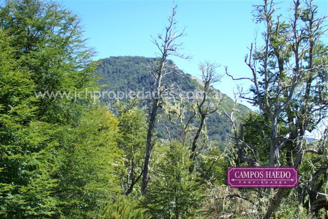 Ol1 terrenos en lago hermoso