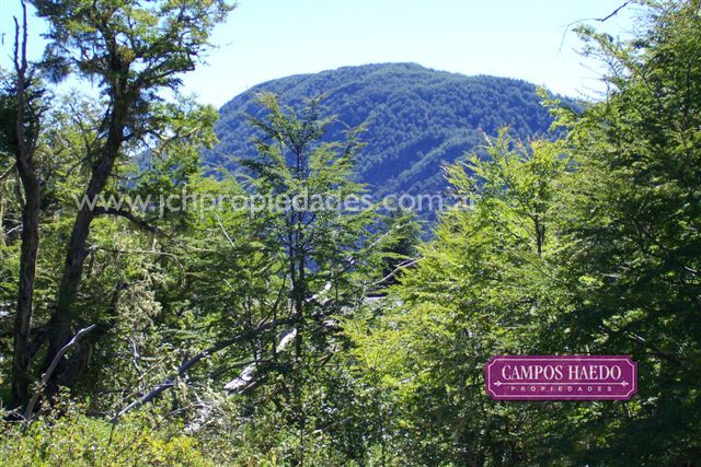 Ol1 terrenos en lago hermoso