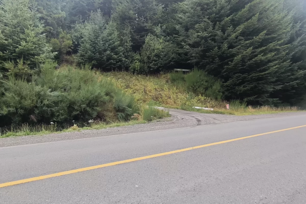 L125 lote de 4506 mts2 c/acceso directo ruta 40