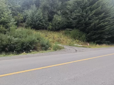 L125 lote de 4506 mts2 c/acceso directo ruta 40