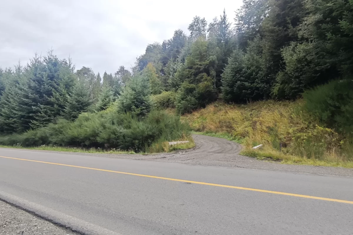 L127 excelente lote de 5266 mts con vista al lago nahuel huapi – v.l.a