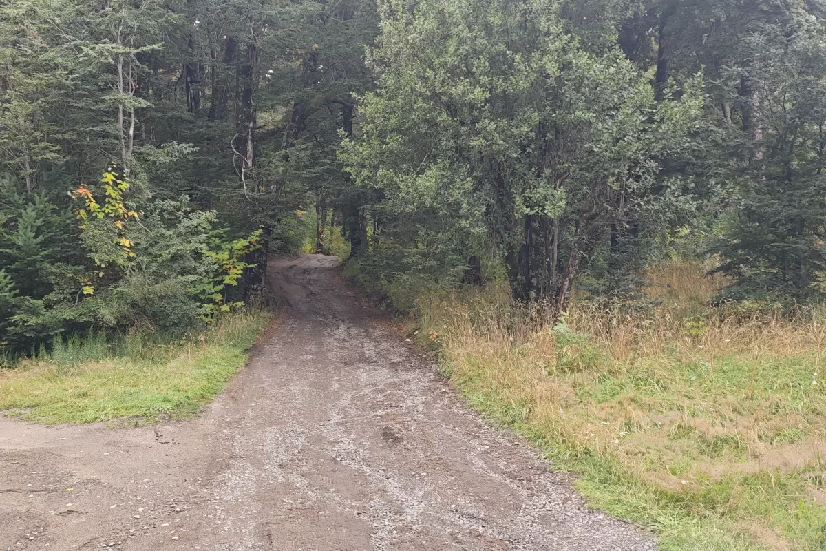 L126 lote de 4500 mts en loma guacha – v.l.a