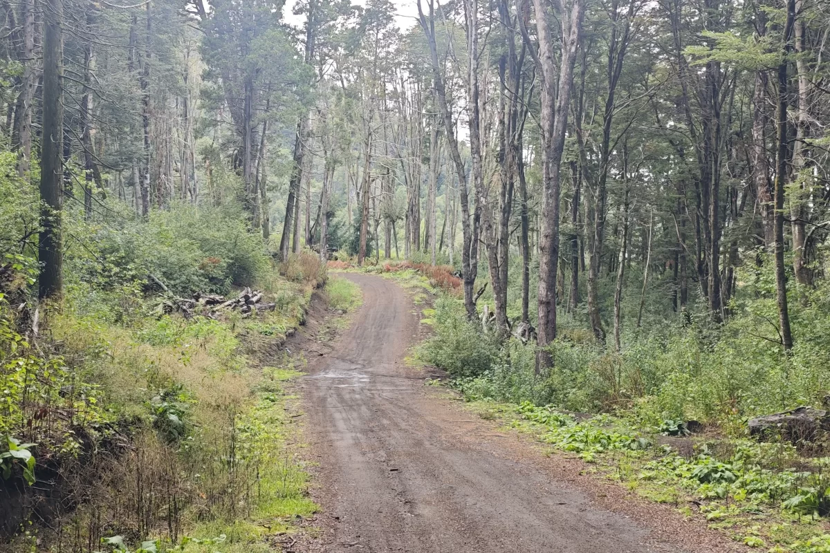 L127 excelente lote de 5266 mts con vista al lago nahuel huapi – v.l.a