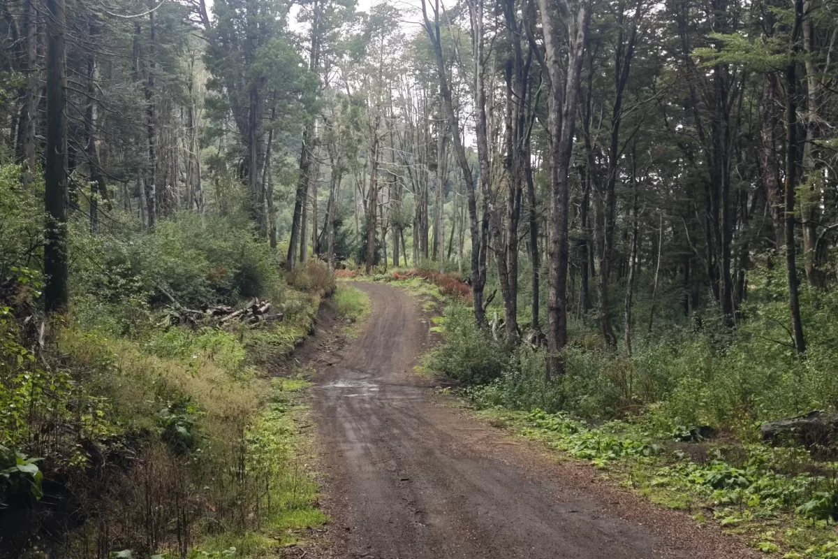 L127 excelente lote de 5266 mts con vista al lago nahuel huapi – v.l.a