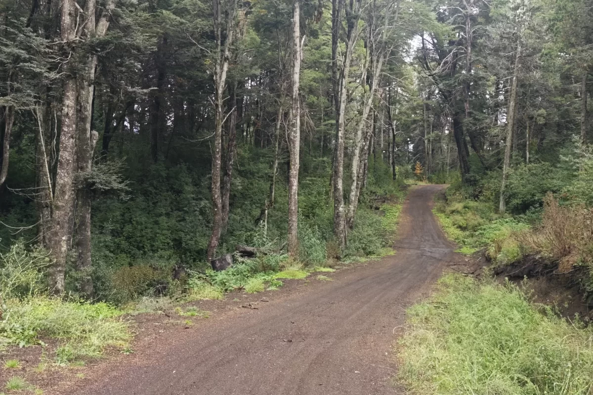 L127 excelente lote de 5266 mts con vista al lago nahuel huapi – v.l.a