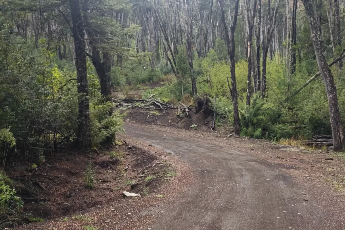 L127 excelente lote de 5266 mts con vista al lago nahuel huapi – v.l.a