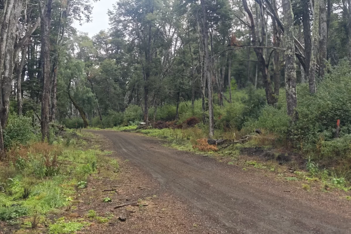 L126 lote de 4500 mts en loma guacha – v.l.a