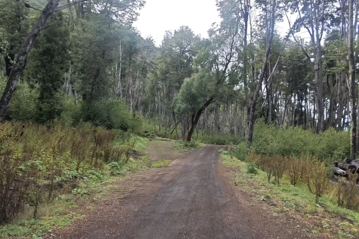 L127 excelente lote de 5266 mts con vista al lago nahuel huapi – v.l.a