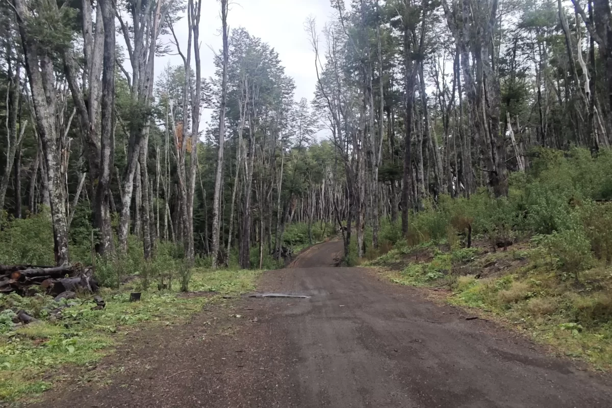 L127 excelente lote de 5266 mts con vista al lago nahuel huapi – v.l.a