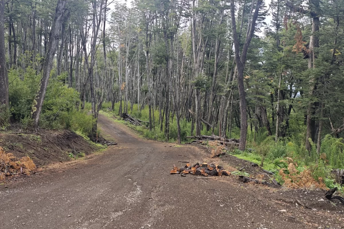 L126 lote de 4500 mts en loma guacha – v.l.a