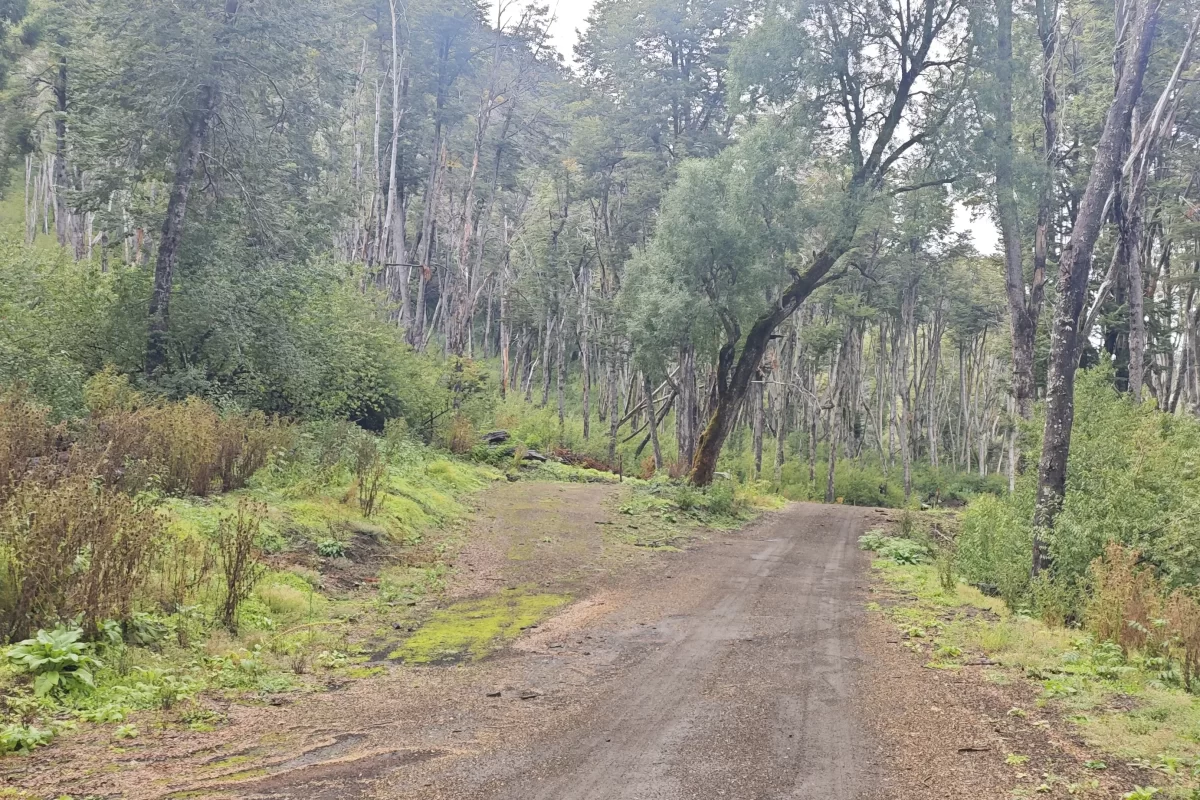 L127 excelente lote de 5266 mts con vista al lago nahuel huapi – v.l.a