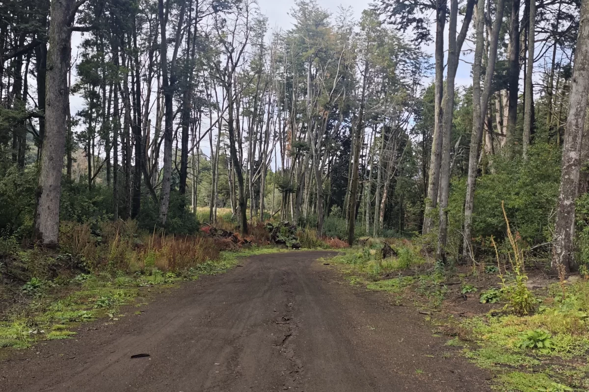 L126 lote de 4500 mts en loma guacha – v.l.a