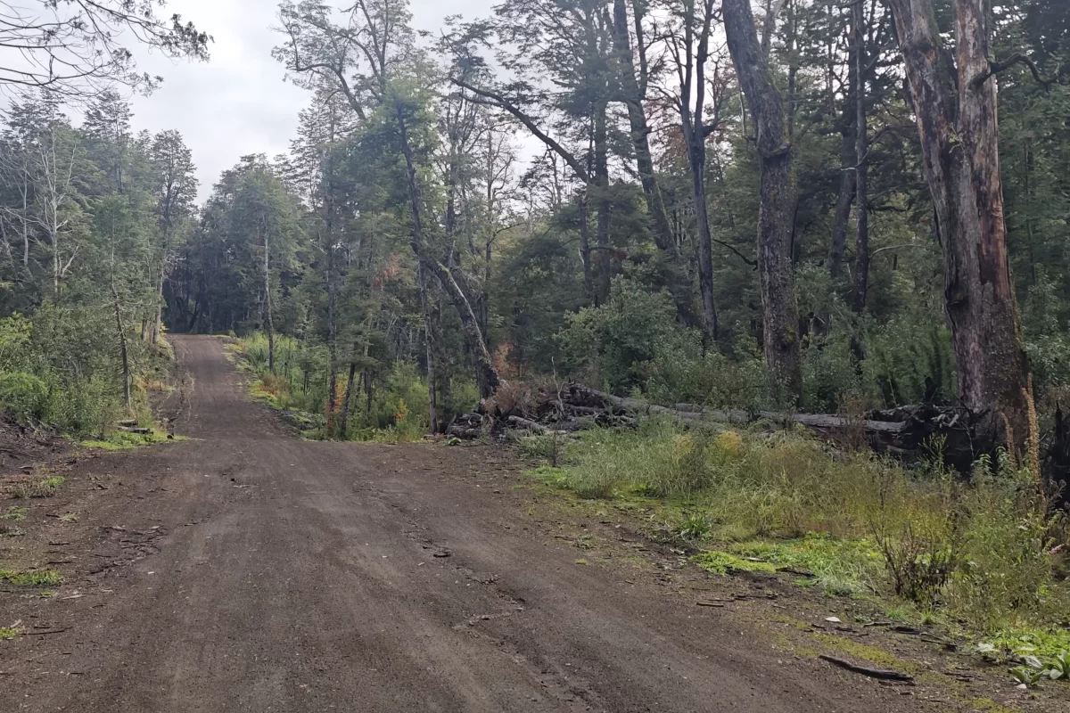 L126 lote de 4500 mts en loma guacha – v.l.a