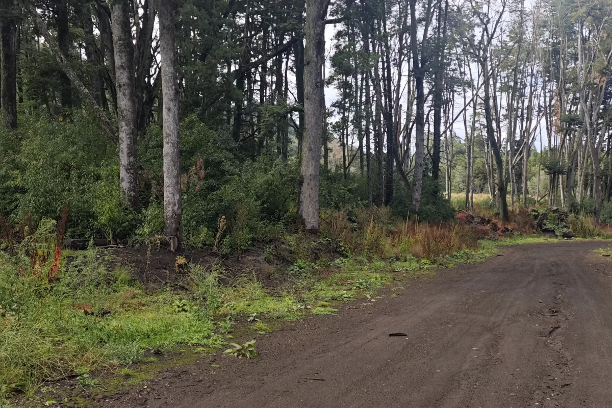 L127 excelente lote de 5266 mts con vista al lago nahuel huapi – v.l.a