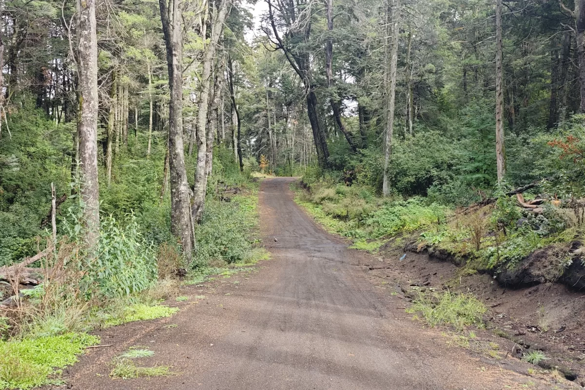 L127 excelente lote de 5266 mts con vista al lago nahuel huapi – v.l.a