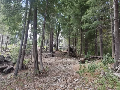 L132 lote exclusivo en península de manzano de 1430 mts2