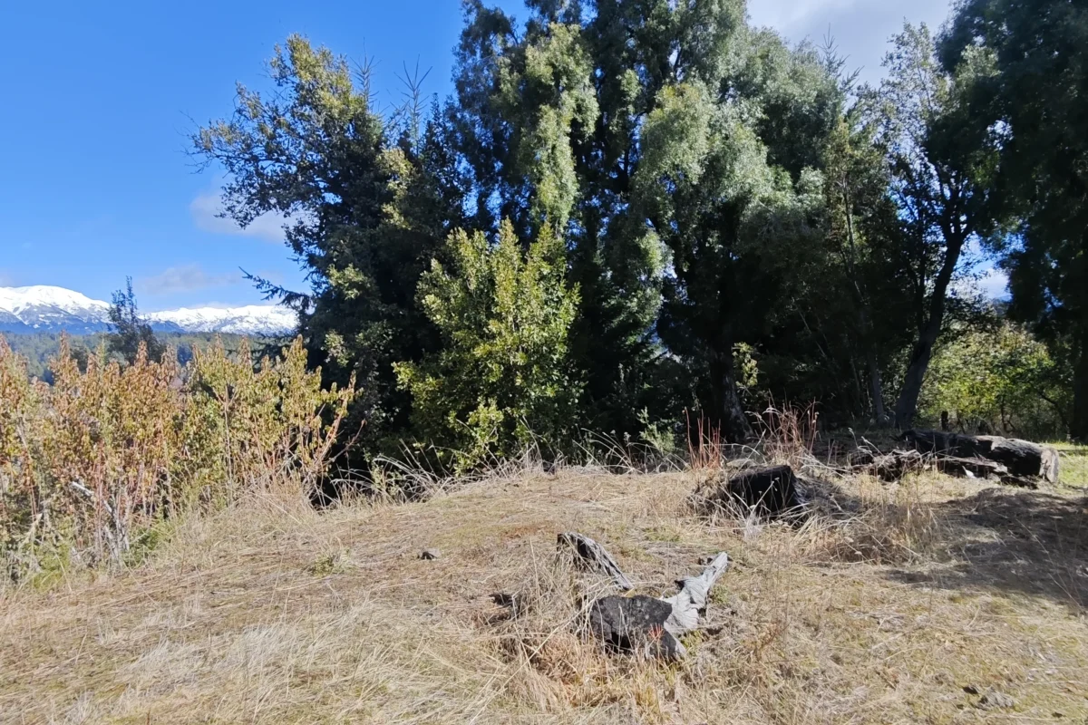 L 135 lote con vista al lago en barrio las balsas