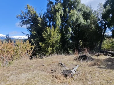 L 135 lote con vista al lago en barrio las balsas