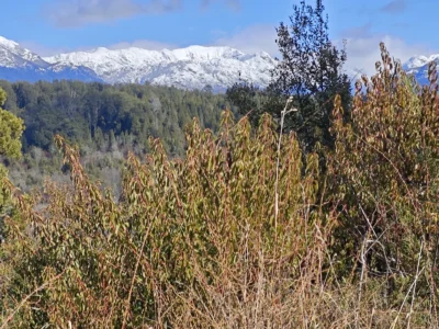 L 135 lote con vista al lago en barrio las balsas