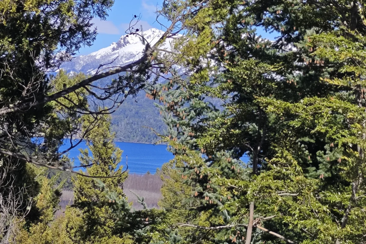 L 135 lote con vista al lago en barrio las balsas