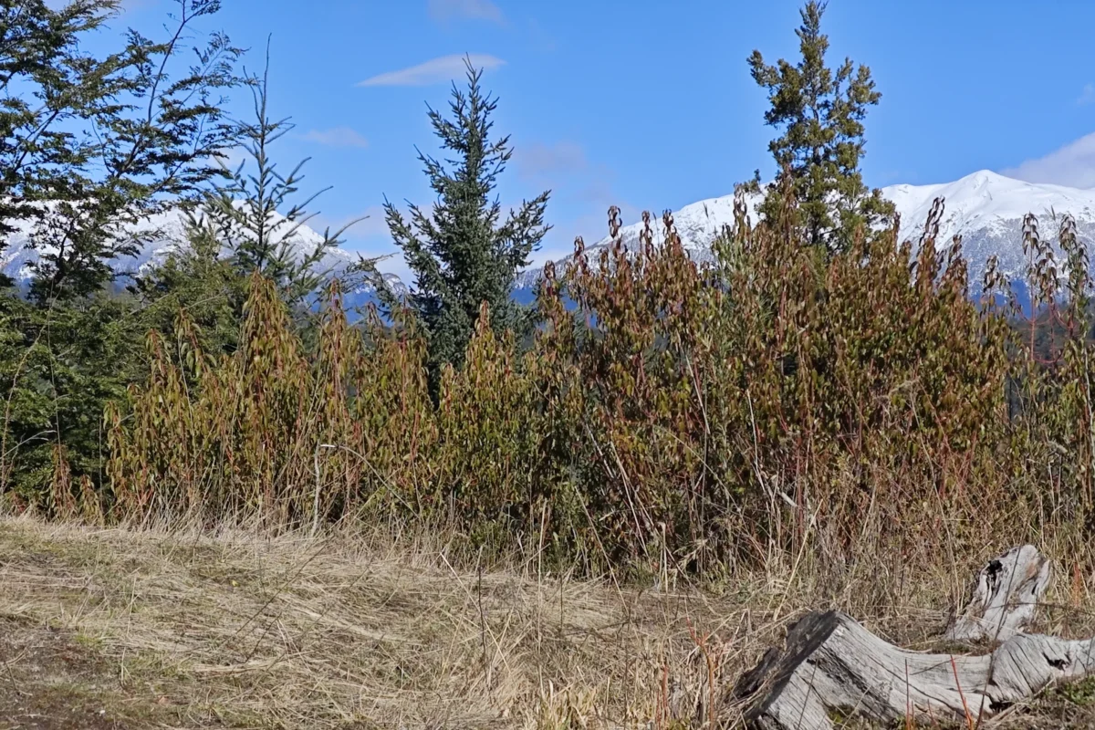 L 135 lote con vista al lago en barrio las balsas