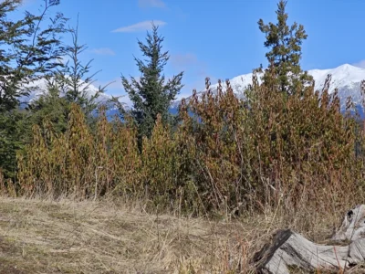 L 135 lote con vista al lago en barrio las balsas