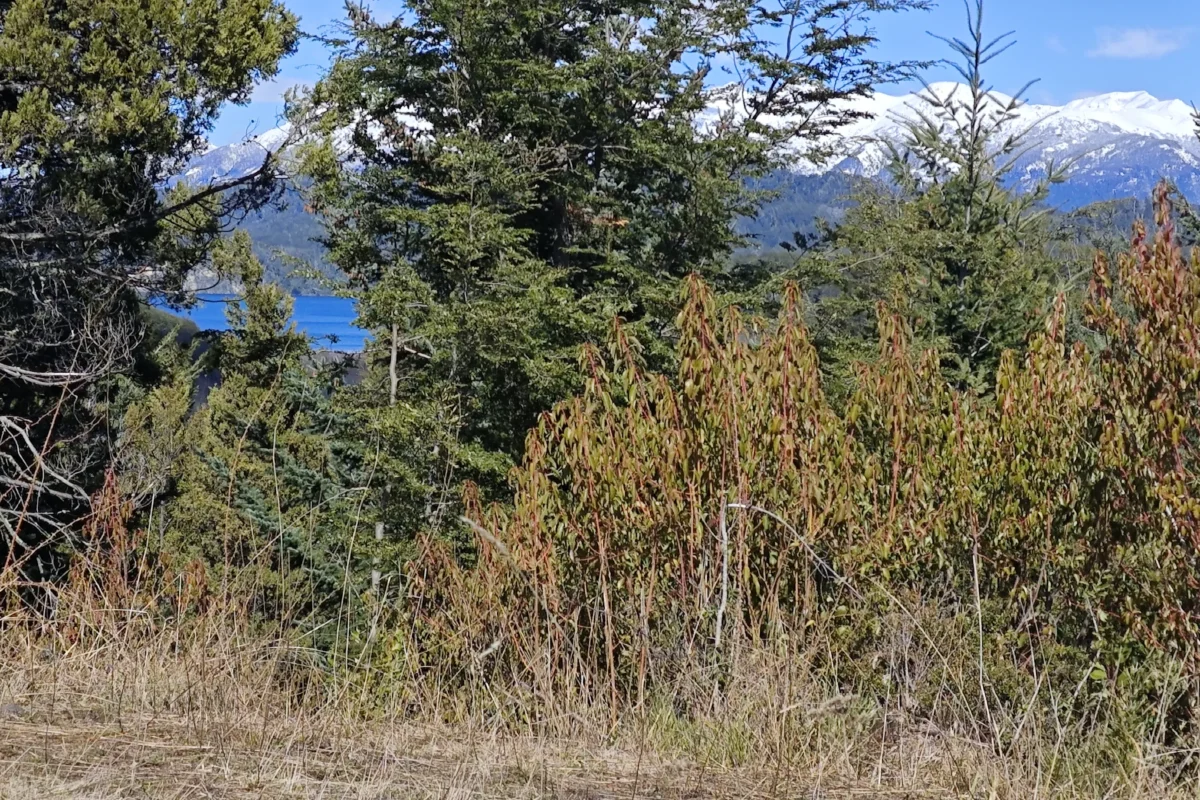 L 135 lote con vista al lago en barrio las balsas