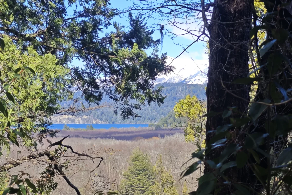 L 134 lote con vista al lago en barrio centrico el once